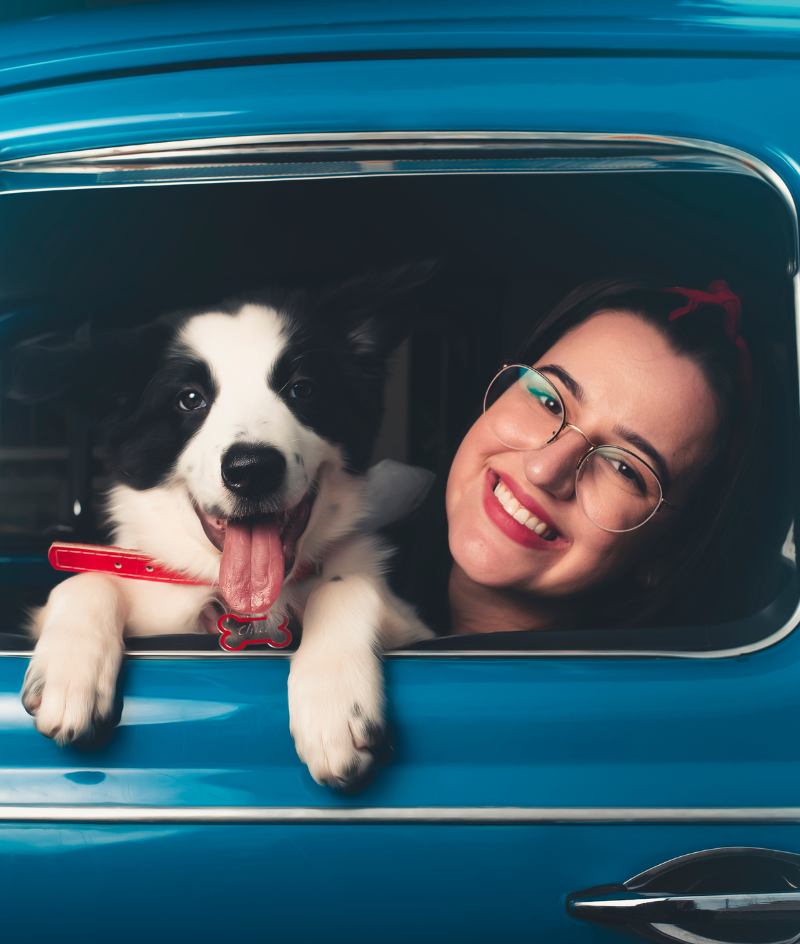 Parking at Newport Veterinary Center